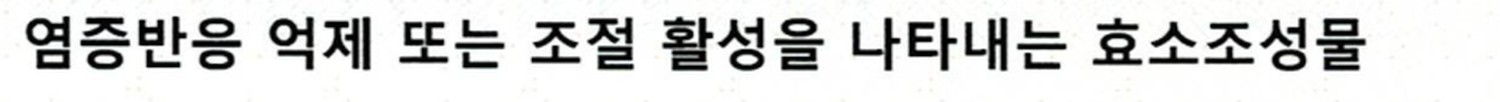 발명의 명칭